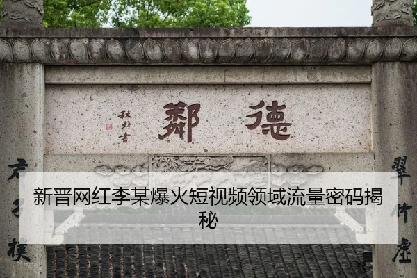 新晋网红李某爆火短视频领域流量密码揭秘